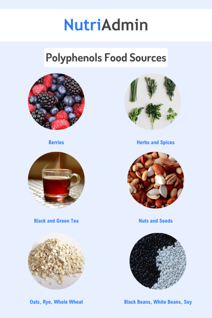 polyphenols food sources to include in diet forgut microbiome 