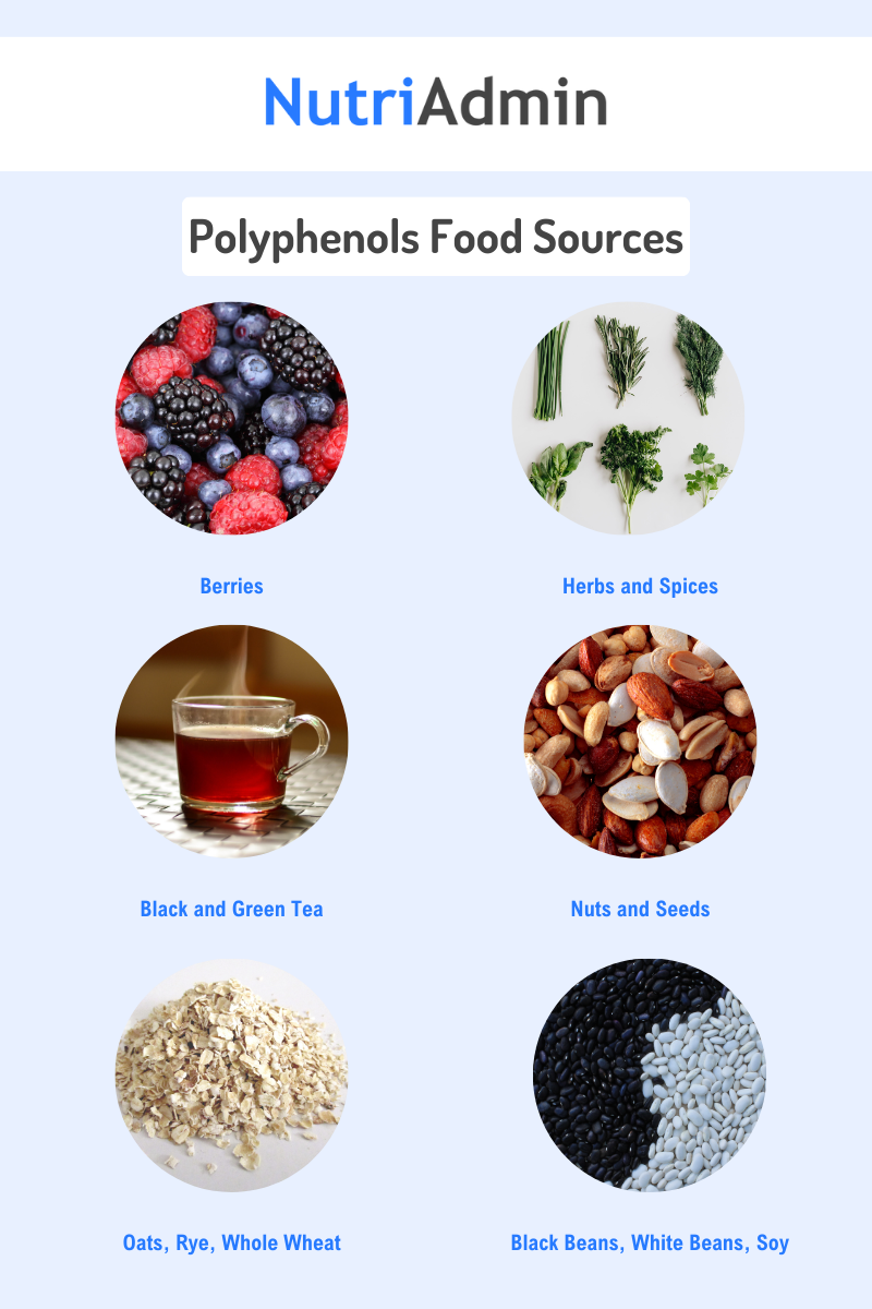 Understanding the Link Between Gut Microbiome and Diet