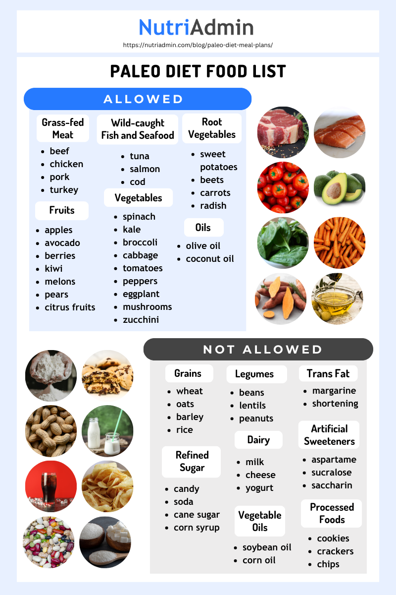 Paleo Diet Meal Plans and Recipes - NutriAdmin Blog