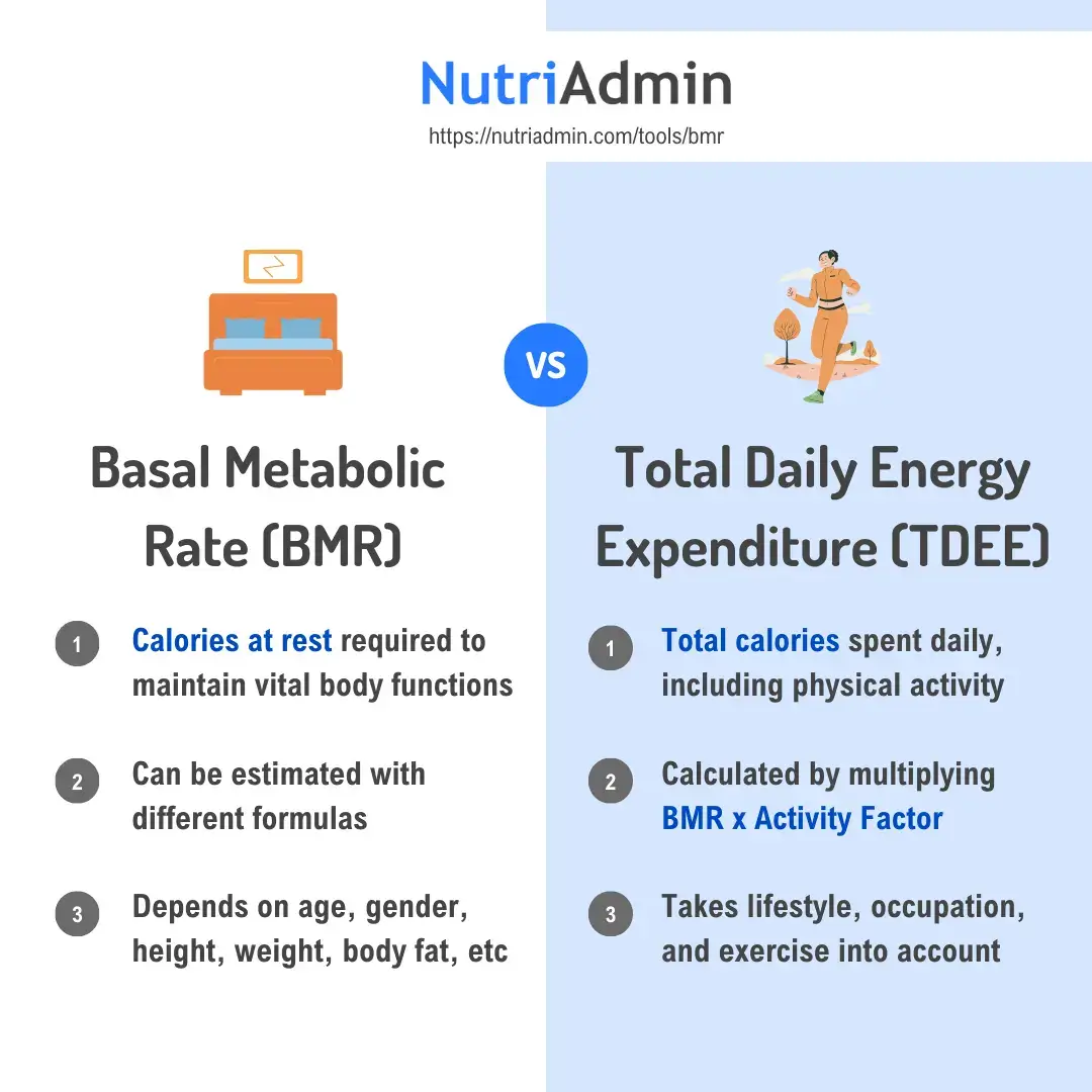 BMR vs TDEE